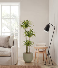 Load image into Gallery viewer, Sage Green
