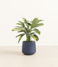 Load image into Gallery viewer, Deep Navy
