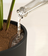 Load image into Gallery viewer, Black stand:all
