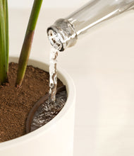 Load image into Gallery viewer, Cream stand:all
