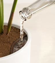 Load image into Gallery viewer, White stand:all
