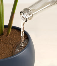 Load image into Gallery viewer, Deep Navy stand:all
