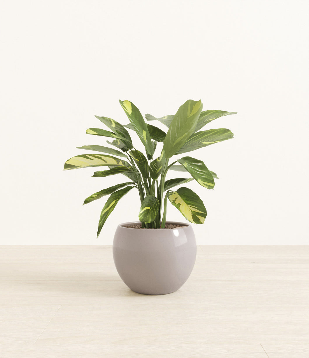 Winter Clouds*****Profile