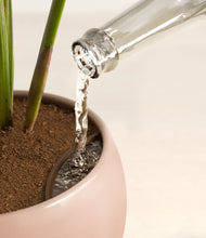 Load image into Gallery viewer, Calm Rose stand:all
