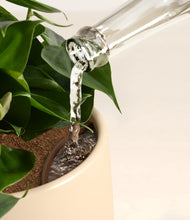Load image into Gallery viewer, Lily Pad stand:all
