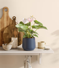 Load image into Gallery viewer, Deep Navy
