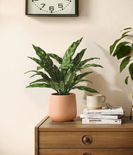 Load image into Gallery viewer, Gentle Pink
