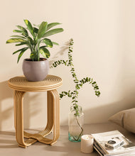 Load image into Gallery viewer, Winter Clouds
