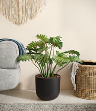 Load image into Gallery viewer, Stone Black
