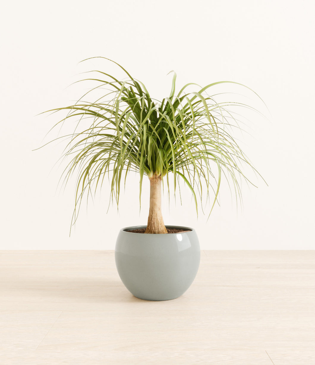 Deep Ocean*****Profile