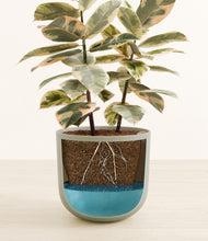 Load image into Gallery viewer, Sage Green stand:all
