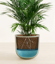 Load image into Gallery viewer, Sage Green
