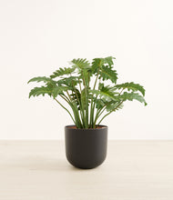 Load image into Gallery viewer, Stone Black*****Profile
