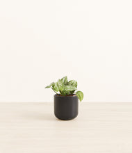 Load image into Gallery viewer, Stone Black*****Profile
