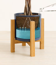 Load image into Gallery viewer, Deep Navy stand:light
