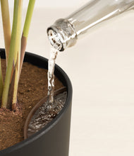 Load image into Gallery viewer, Stone Black stand:all
